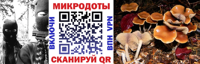 Купить  Спас-Деменск  Галлюциногенные грибы мицелий 